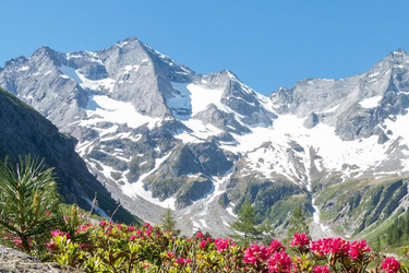 Steirische Berglandschaft