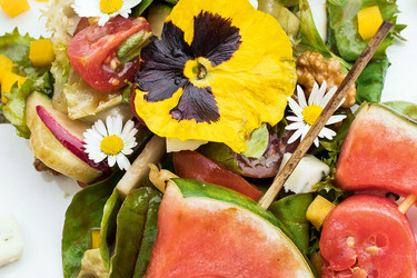 Salat mit gegrillter Wassermelone & Schafkäse