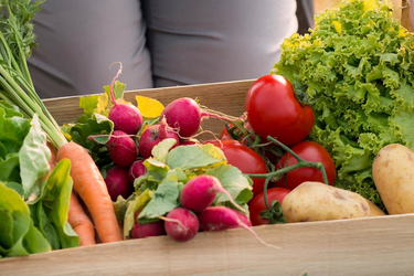 Eine Frau trägt eine Holzkiste voll Gemüse: Karotten, Salat, Tomaten, Erdäpfel und Radieschen
