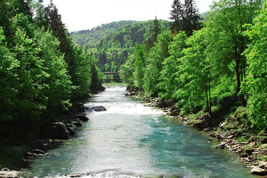 Bild eines Flusses im Mürztal
